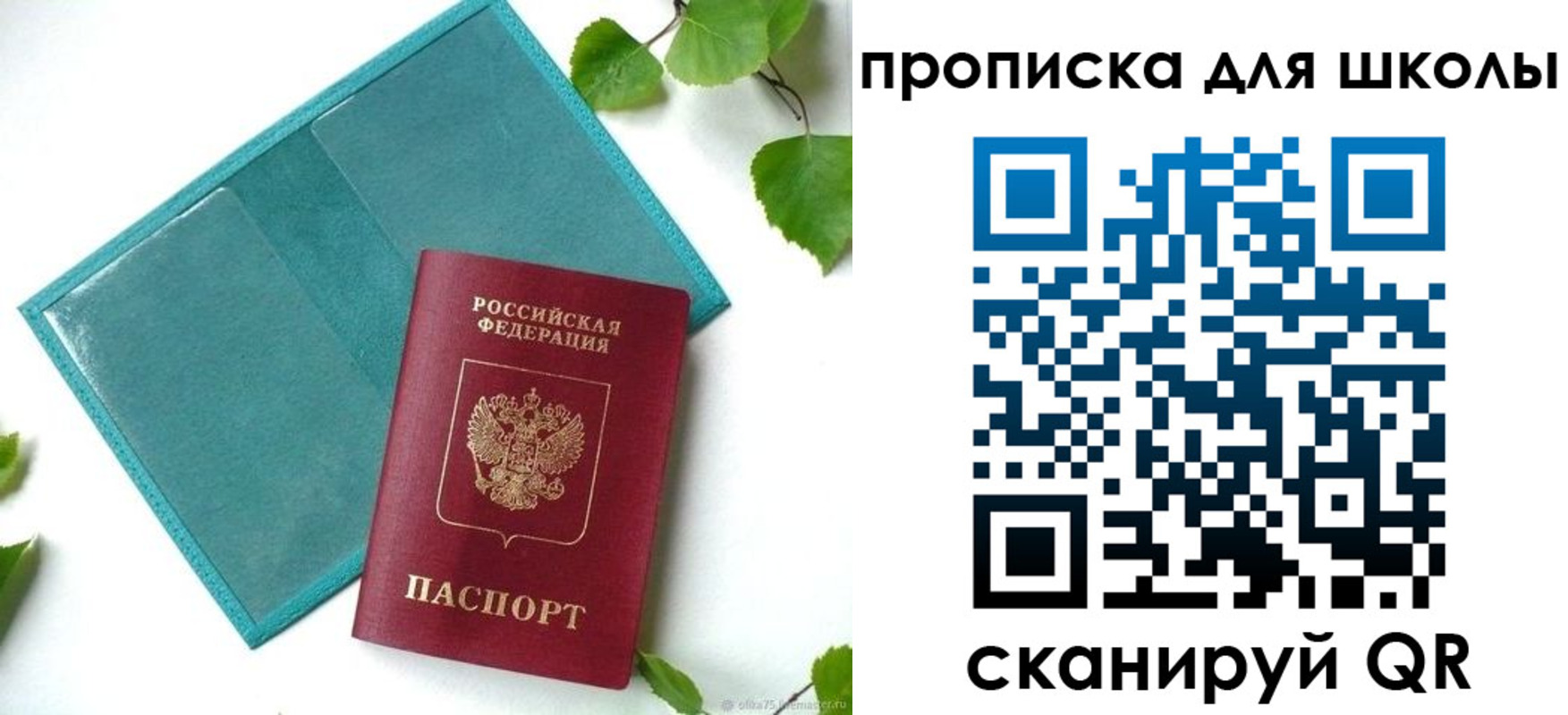 прописка в Козельске